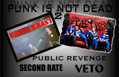 Punk Is Not Dead pt.2
